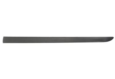 Trim/Protection Strip, wing BLIC 9999-43-008441P