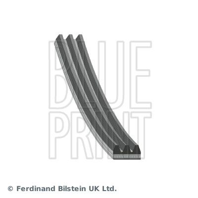 BLUE PRINT AD03S798 V-Ribbed Belt