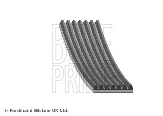 BLUE PRINT AD07R1675 V-ribbed Belt