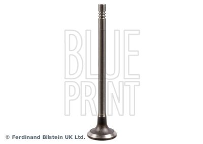 Intake Valve BLUE PRINT ADBP610034