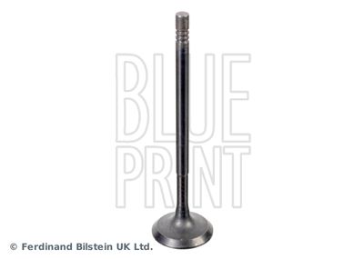 Intake Valve BLUE PRINT ADBP610041