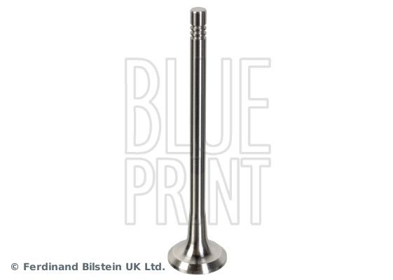 BLUE PRINT ADBP610134 Exhaust Valve