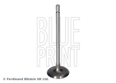Intake Valve BLUE PRINT ADBP610135