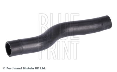 Radiator Hose BLUE PRINT ADBP930009