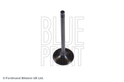 Intake Valve BLUE PRINT ADJ136110
