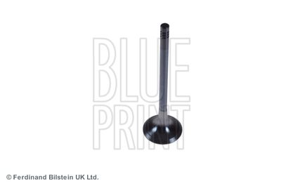 Exhaust Valve BLUE PRINT ADJ136111