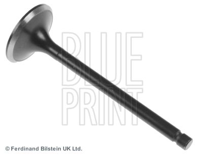 Intake Valve BLUE PRINT ADU176102
