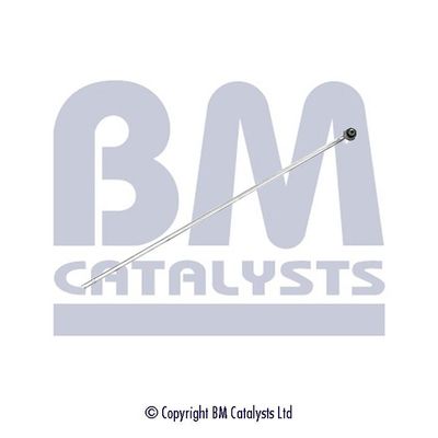 Pressure Pipe, pressure sensor (soot/particulate filter) BM Catalysts PP11174A