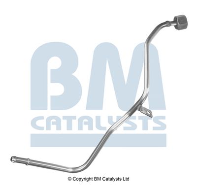 Pressure Pipe, pressure sensor (soot/particulate filter) BM Catalysts PP11244A