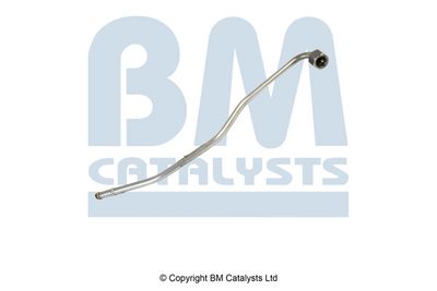 Pressure Pipe, pressure sensor (soot/particulate filter) BM Catalysts PP11253A