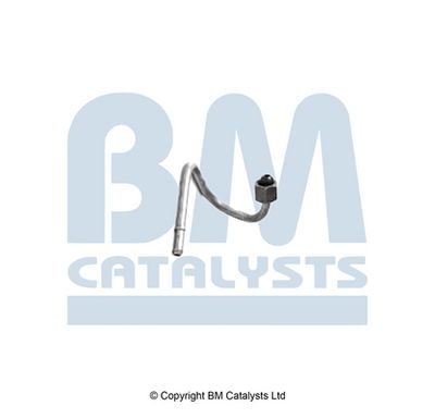 Pressure Pipe, pressure sensor (soot/particulate filter) BM Catalysts PP11264A