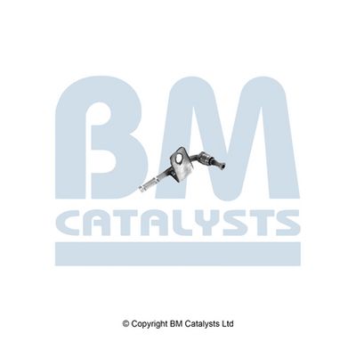 Pressure Pipe, pressure sensor (soot/particulate filter) BM Catalysts PP11635A