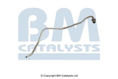 Pressure Pipe, pressure sensor (soot/particulate filter) BM Catalysts PP15020B