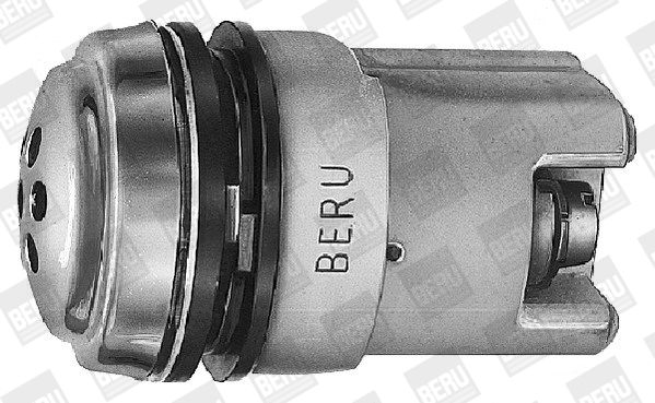 BorgWarner (BERU) KOBS Glow Indicator