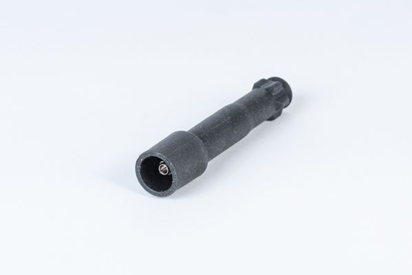 BorgWarner (BERU) ZLE232 Plug, coil