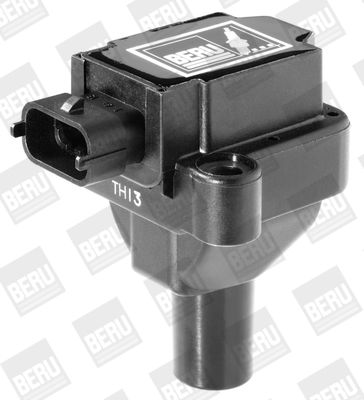 Ignition Coil BorgWarner (BERU) ZS030