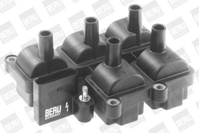 Ignition Coil BorgWarner (BERU) ZS037