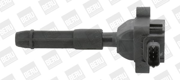 BorgWarner (BERU) ZS041 Ignition Coil
