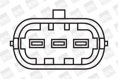 Ignition Coil BorgWarner (BERU) ZS049