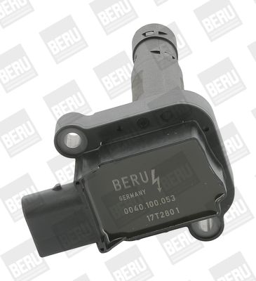 Ignition Coil BorgWarner (BERU) ZS053