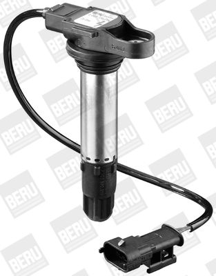 Ignition Coil BorgWarner (BERU) ZS054