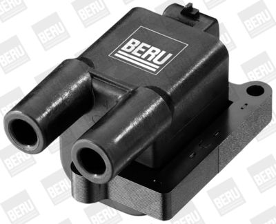 Ignition Coil BorgWarner (BERU) ZS056
