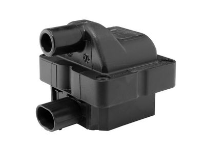 Ignition Coil BorgWarner (BERU) ZS078
