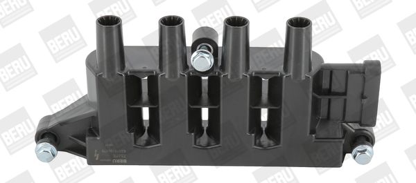 BorgWarner (BERU) ZS079 Ignition Coil