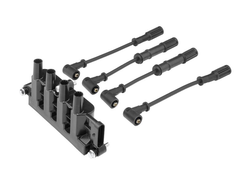 BorgWarner (BERU) ZS079A Ignition Coil