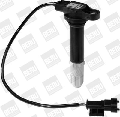 Ignition Coil BorgWarner (BERU) ZS085