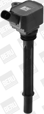 BorgWarner (BERU) ZS096 Ignition Coil