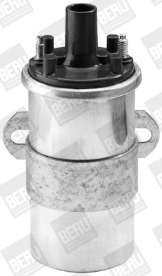 Ignition Coil BorgWarner (BERU) ZS117