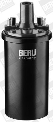 Ignition Coil BorgWarner (BERU) ZS119