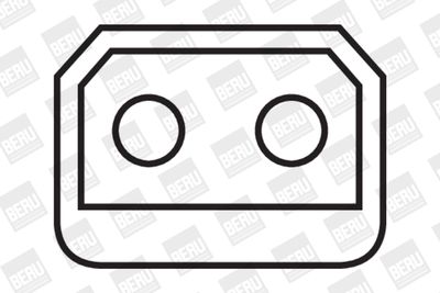 Ignition Coil BorgWarner (BERU) ZS224