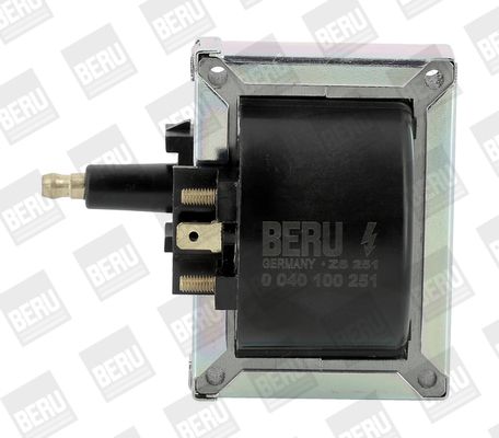 BorgWarner (BERU) ZS251 Ignition Coil
