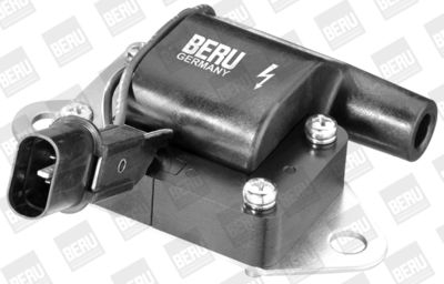 Ignition Coil BorgWarner (BERU) ZS263