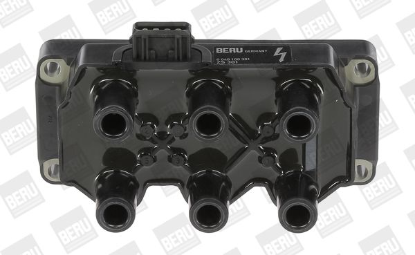 BorgWarner (BERU) ZS301 Ignition Coil