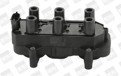 Ignition Coil BorgWarner (BERU) ZS306