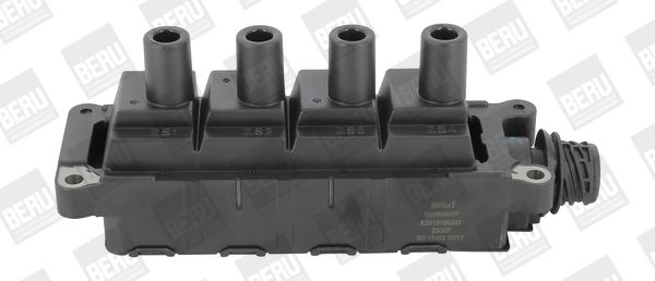 BorgWarner (BERU) ZS307 Ignition Coil