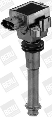 BorgWarner (BERU) ZS311 Ignition Coil