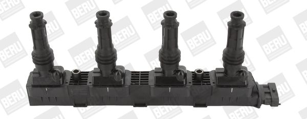 BorgWarner (BERU) ZS338 Ignition Coil