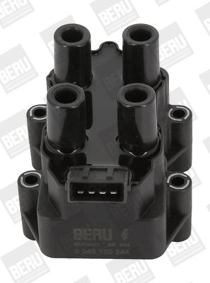 BorgWarner (BERU) ZS344 Ignition Coil