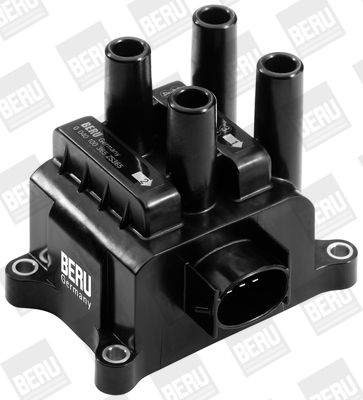 BorgWarner (BERU) ZS365 Ignition Coil