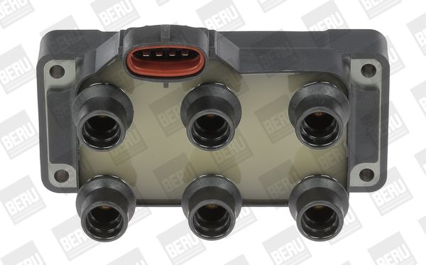 BorgWarner (BERU) ZS371 Ignition Coil