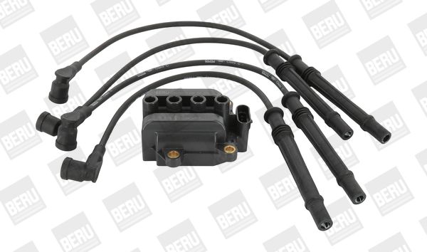BorgWarner (BERU) ZS375 Ignition Coil