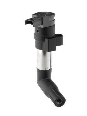 Ignition Coil BorgWarner (BERU) ZS383