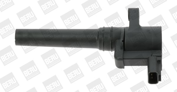 BorgWarner (BERU) ZS388 Ignition Coil