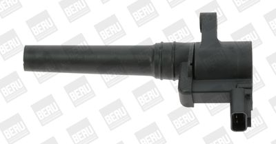 Ignition Coil BorgWarner (BERU) ZS388