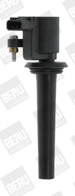Ignition Coil BorgWarner (BERU) ZS389
