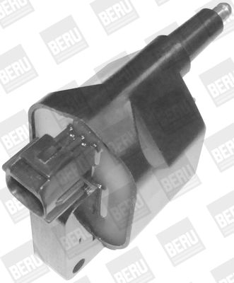 BorgWarner (BERU) ZS396 Ignition Coil